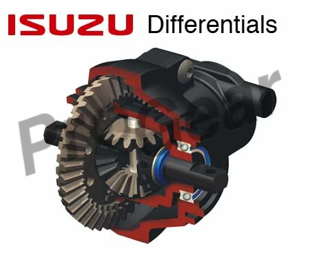 Isuzu Truck Differential